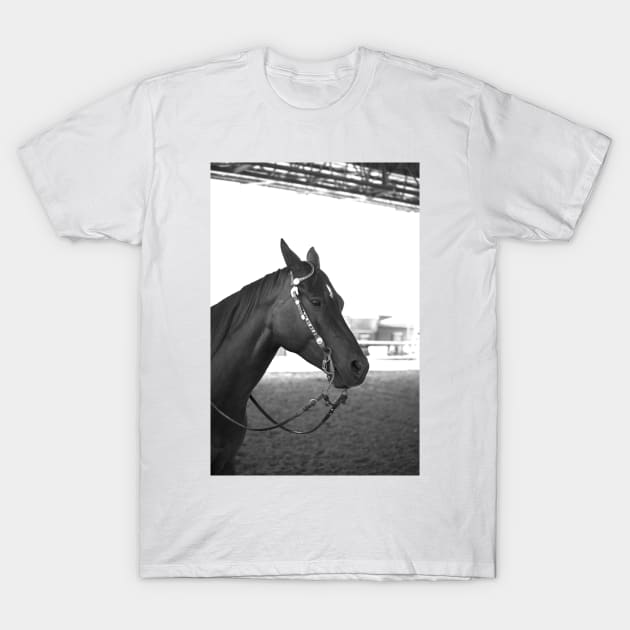 Beautiful horse T-Shirt by lisenok